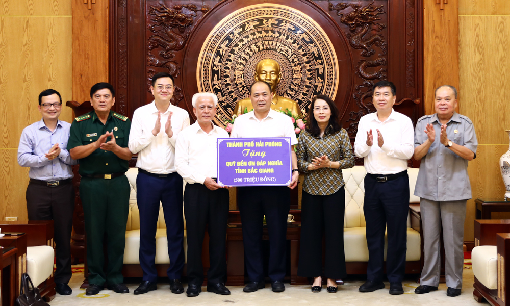 Hai Phong Party delegation visits and works with Bac Giang
